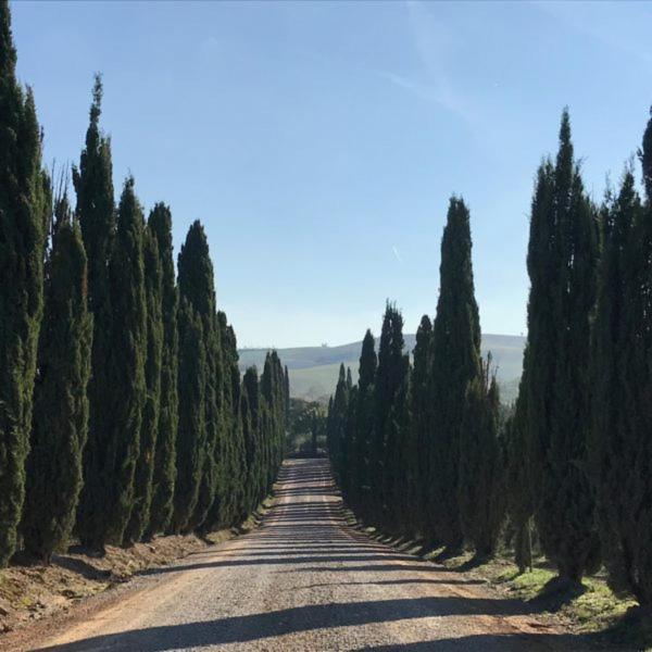 Podere Piazza Сиена Экстерьер фото